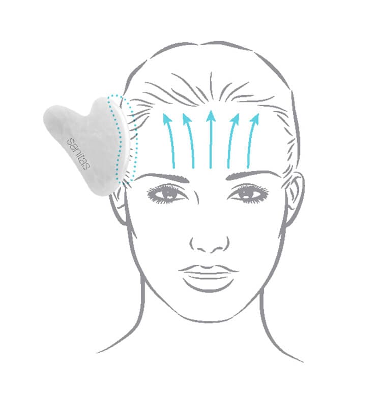 Gua Sha Step 5 demonstration graphic: from eyebrows to hairline on forehead
