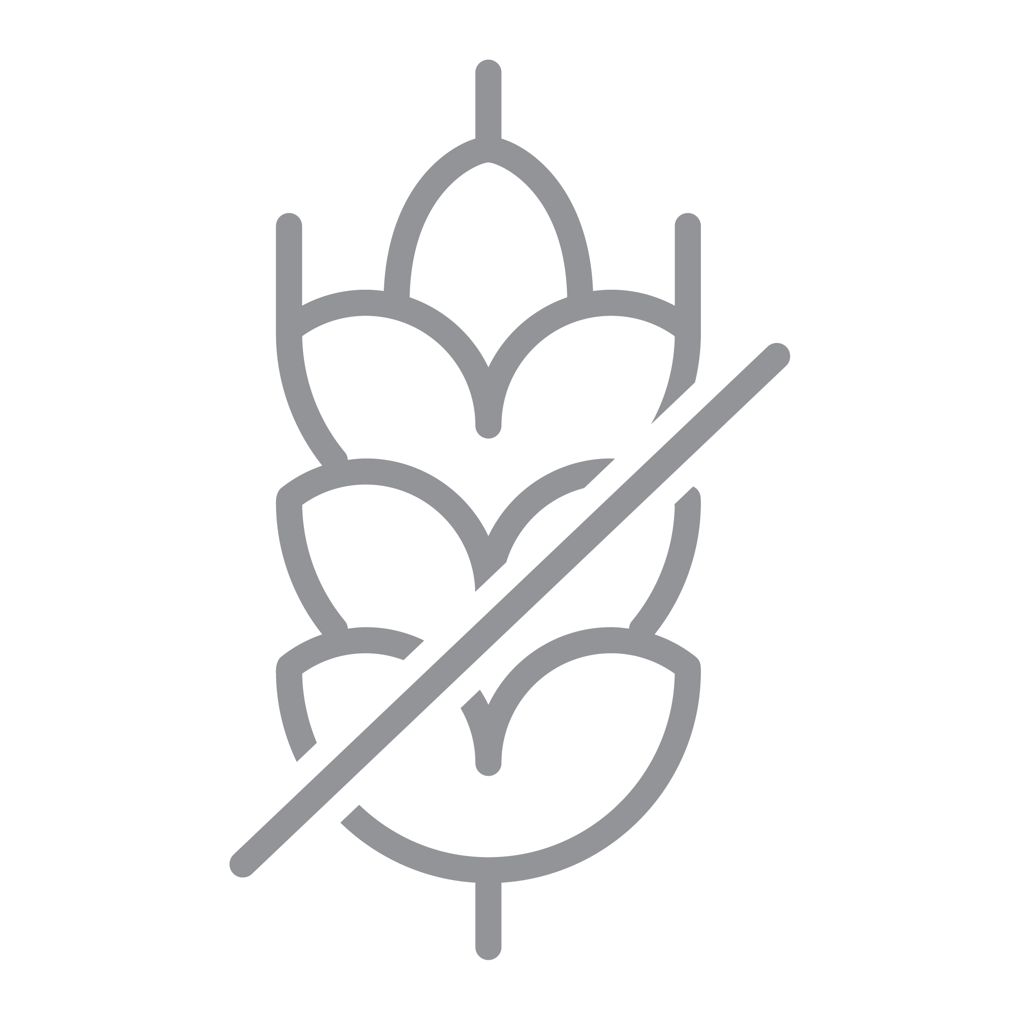 Value Icons - Gluten Free